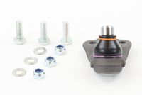 Trag-/Führungsgelenk