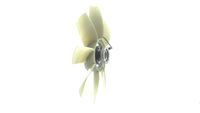 Thumbnail - Koelventilatorwiel - CFF505000P - MAHLE
