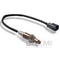 ламбда-сонда