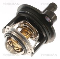 Thermostat, Kühlmittel