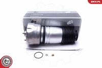 Air Spring, suspension