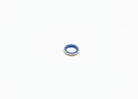 Blīve, Pamatlukturu rāmis