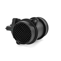 DELPHI Luchtmassameter 5