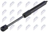 Amortizor capota NTY, Cod: AE-BM-100