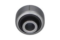 тампон, носач