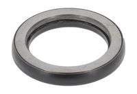 Wälzlager, Federbeinstützlager