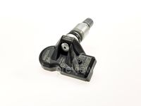 Radsensor, Reifendruck-Kontrollsystem