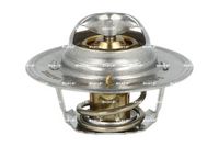 Thermostat, Kühlmittel