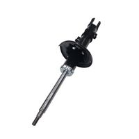 Amortizor CTR, Cod: GY1135G
