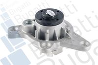 Wasserpumpe, Motorkühlung