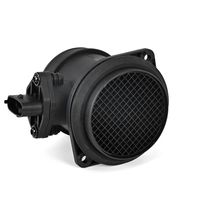 DELPHI Luchtmassameter 6