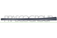Panou prag PRASCO, Cod: AD3241403