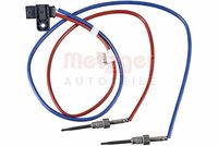 Sensor, Abgastemperatur