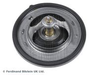 Thermostat, Kühlmittel