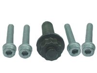 Bolt Set, crankshaft pulley