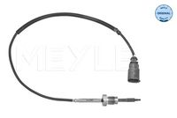 Sensor, Abgastemperatur