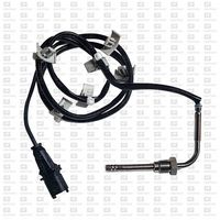 Sensor, Abgastemperatur