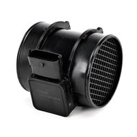 DELPHI Luchtmassameter 5