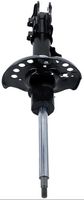 Article Picture