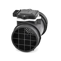 DELPHI Luchtmassameter 5