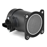 DELPHI Luchtmassameter 5