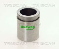 Kolben, Bremssattel