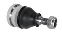 Pivot SKF, Cod: VKDS 316030