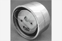 Rola intinzator,curea distributie HUTCHINSON, Cod: HTG 19