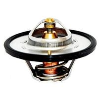 Thermostat, Kühlmittel