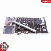 SET DE REPARAțIE SUPAPă AGR