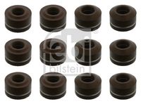 Dichtungssatz, Ventilschaft