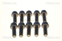 Bascula brat suspensie roata TRISCAN, Cod: 8500 10508