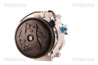 Compresor, climatizare TRISCAN, Cod: 9020 13023