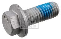 Schraube, Bremssattel