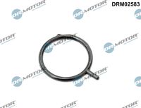 Dichtring, Motorölstandsensor Dichtring, Motorölstandsensor