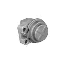Motorfeste