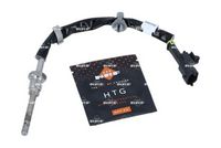 Sensor, Abgastemperatur