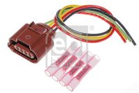 Stecker