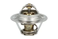 Thermostat, Kühlmittel