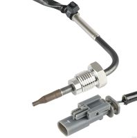 Sensor, Abgastemperatur
