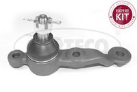 Trag-/Führungsgelenk