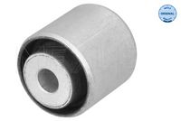 Mounting, control/trailing arm