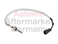 Sensor, Abgastemperatur