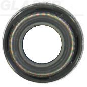 Dichtring, Ventilschaft