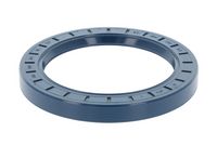 Wellendichtring, Radnabe