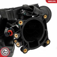 Article Picture