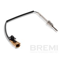 Sensor, Abgastemperatur