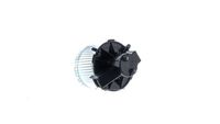 Article Picture