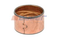 Bucsa, arbore frana AUGER, Cod: 55198