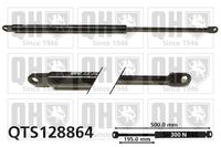 Gasfeder, Koffer-/Laderaum